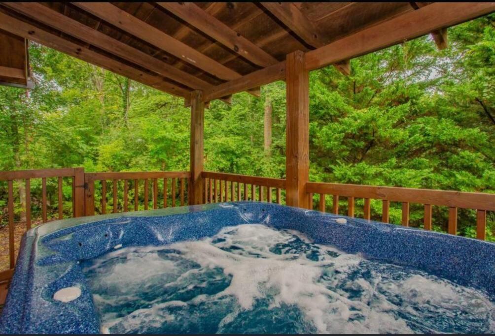 Blue Beary Delight Newly Renovated Near Everything Севьервилл Экстерьер фото